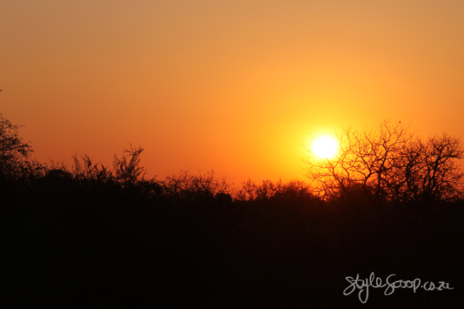 stylescoop-bush-adventure-sunset2